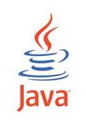 Java SE Runtime Environment (JRE) 6 Update 25